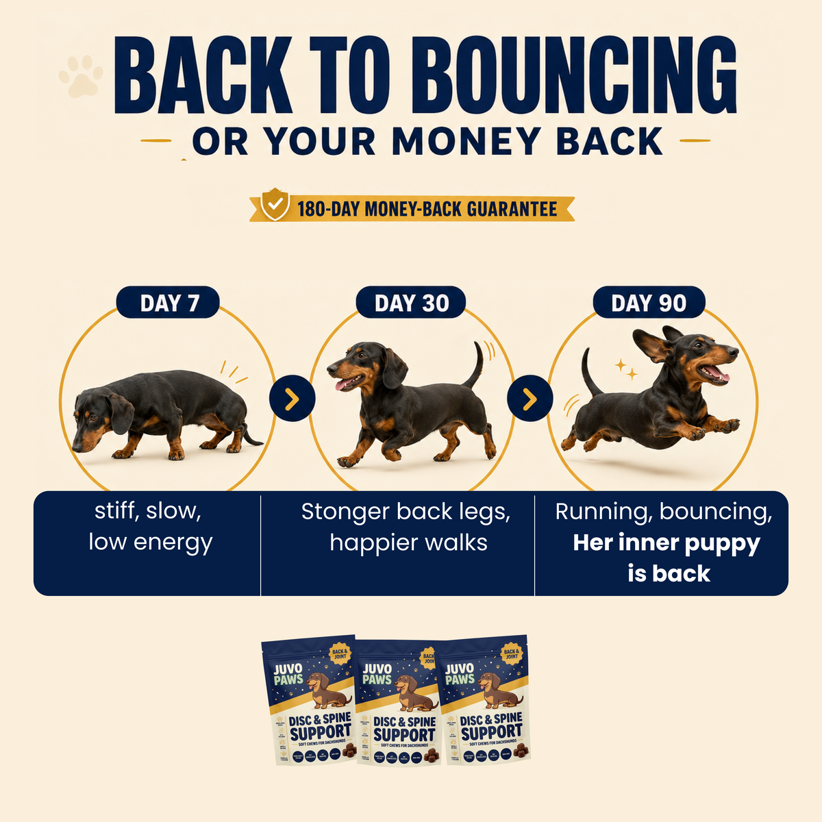 JuvoPaws Daily Back-Care Chew